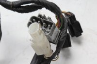 Cablaggio, cablaggio principale, componenti elettrici, connettori BMW R 1150 RT 0419 R22 02-05