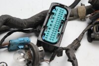 Cablaggio, cablaggio principale, componenti elettrici, connettori BMW R 1150 RT 0419 R22 02-05