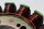 Dynamo stator generatorwikkeling BMW F 800 GS E8GS 0219 08-12