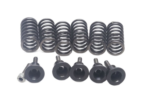 Clutch spring set with screws Ducati Monster 600 Dark ZDM300AA 98-01