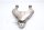 Swingarm framebevestiging voorste geweibevestiging BMW R 1200 C 259C 0424 97-05