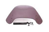 pare-brise teinté, accessoires de montage BMW R 100 GS Paris Dakar 247E 0474 89-96