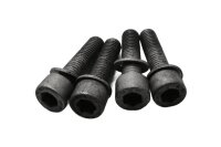 Asennusruuvisarja BMW R 1100 RT 259 0413 96-01