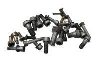 Asennusruuvisarja BMW R 1100 RT 259 0413 96-01
