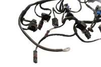 Kabelbaum Einspritzanlage Hauptkabelbaum BMW K 1200 GT K44 K12S 0587 06-08