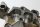 Camshaft bearing block right 11347715774 BMW R 1200 CL 0442 K30 259C 03-05