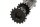 Timing chain shaft, oil pump shaft, drive shaft BMW R 1200 CL 0442 K30 259C 03-05