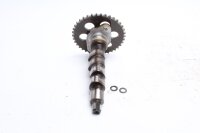 Knastaksel drivhjulsstyring BMW R 100 GS Paris Dakar 247E 0474 89-96