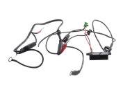 Mazo de cables eléctricos, unidad de control, fusible BMW R 1150 R Rockster R28 0308 03-05