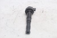 Bobina de encendido, bobina de encendido individual, sistema de encendido, módulo de encendido BMW K1300S 0508 09-15