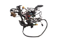 Wiring harness, electrical system, main wiring harness,...
