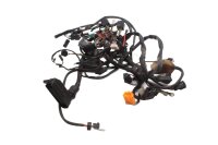Wiring harness, electrical system, main wiring harness,...