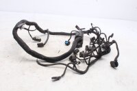 Cablaggio, sistema di iniezione, connettore del sensore, cavo principale BMW K1300S 0508 09-15