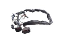 Mazo de cables para la iluminación del panel de instrumentos BMW R 1150 R Rockster R28 0308 03-05