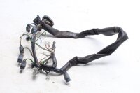 Mazo de cables para la iluminación del panel de instrumentos BMW R 1150 R Rockster R28 0308 03-05