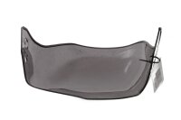Voorruit, voorruit, getinte voorruit BMW R 1150 GS R21 0415 99-04