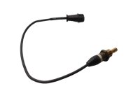 Oil temperature sensor measuring probe 289 BMW R 1200 CL 0442 K30 259C 03-05