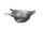 Scudo termico per scarico, protezione termica, copertura dello scudo termico BMW K1300S 0508 09-15