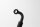 Hydraulic line coupling pressure line BMW R 1200 CL 0442 K30 259C 03-05