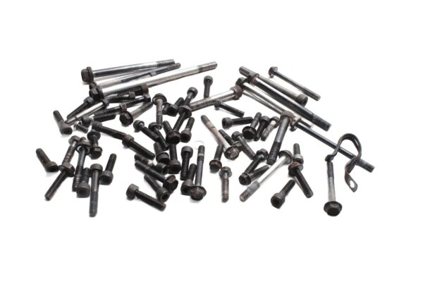Pernos del motor, juego completo de tornillos Suzuki GSX 1100 G GV74A 91-96