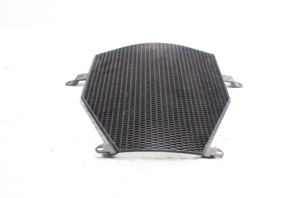 Radiator guard, honeycomb grille, engine cooling guard BMW K1300S 0508 09-15