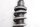 Etujousitus, vetojousitus, iskunvaimennin, jousitus BMW R 1200 R R1ST K27 0378 07-10