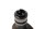 Venstre knastaksel, indsugningsaksel, ventilstyring BMW R 1150 GS R21 0415 99-04