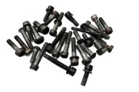 Screw set, fairing, frame, axles BMW R 1200 CL 0442 K30 259C 03-05