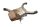 Exhaust manifold collector, manifold connection 18127657427 BMW R 1150 GS R21 0415 99-04