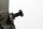 Leva del freno posteriore, pedale del freno, dentatura BMW R 1100 RT 259 0413 96-01