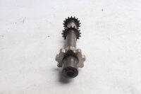 Oil pump shaft, timing chain, gear, engine drive BMW R 1200 CL 0442 K30 259C 03-05