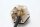 Sensore del livello del carburante (indicatore del livello del carburante) BMW K 1200 GT K44 K12S 0587 06-08