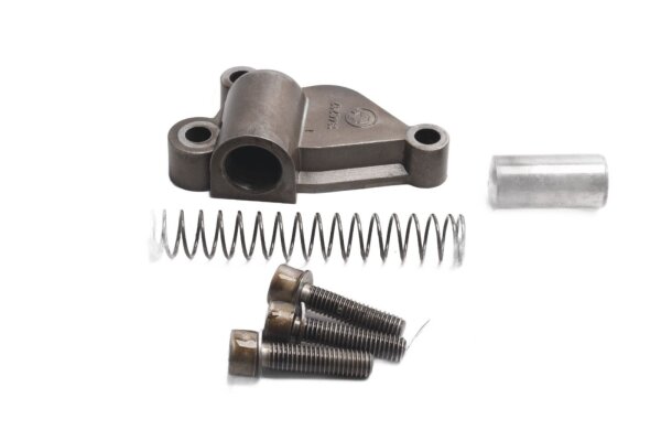 Oil pump chain tensioner, tensioner spring mechanism BMW R 1200 CL 0442 K30 259C 03-05