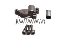 Oil pump chain tensioner, tensioner spring mechanism BMW R 1200 CL 0442 K30 259C 03-05