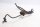 Brændstofledning, indsprøjtningsledning, benzinledning BMW R 1150 GS R21 0415 99-04