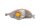 Front right indicator, orange housing, indicator light BMW R 1100 RT 259 0413 96-01