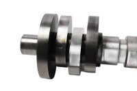 Camshaft, control shaft, engine control Ducati Monster 600 Dark ZDM300AA 98-01