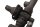 carburateur BMW K 1200 GT K44 K12S 0587 06-08