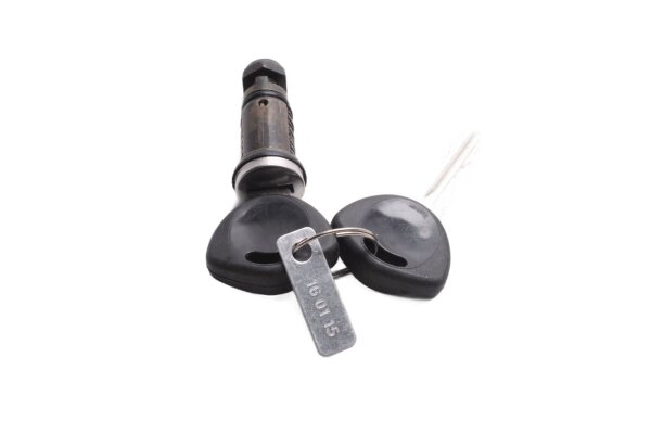 Suitcase lock, lock cylinder, key set, luggage system Triumph universell