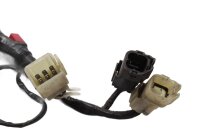 Cableado del panel de instrumentos Iluminación de la pantalla Honda ST 1100 Pan European SC26 90-01