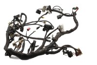 Main wiring harness, fuse box, relays Honda ST 1100 Pan...