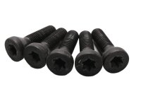 Radschrauben hinten Felge Satz Torx Kegelbund BMW K 1200 GT K44 K12S 0587 06-08