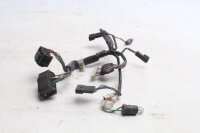 Cableado, instrumentos, cabina, pantalla BMW R 1200 CL 0442 K30 259C 03-05