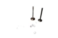Set of engine valves, exhaust, intake, clamping washers...