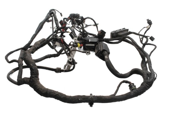 Mazo de cables, mazo de cables principal, sistema eléctrico, encendido BMW F 800 ST K71 0234 06-12