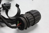 Mazo de cables, mazo de cables principal, sistema eléctrico, encendido BMW F 800 ST K71 0234 06-12