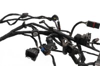 Johtosarja, pääkaapeli, johtosarja, sähköjärjestelmä, sytytys BMW F 800 ST K71 0234 06-12