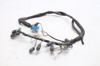 Kabelhärva hastighetsmätare instrumentbelysning blå BMW R 1100 S 259 0422 R2S 98-05