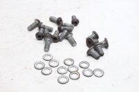 Remschijfschroevenset met Torx-ringen BMW R 1100 RT 259 0413 96-01