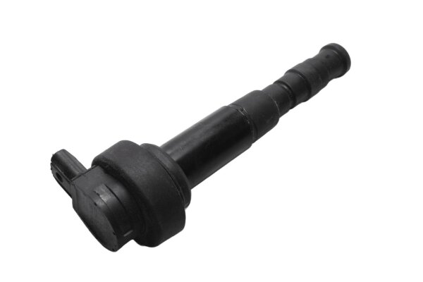 Bobina de encendido, conector de bujía, bobina simple BMW F 800 ST K71 0234 06-12